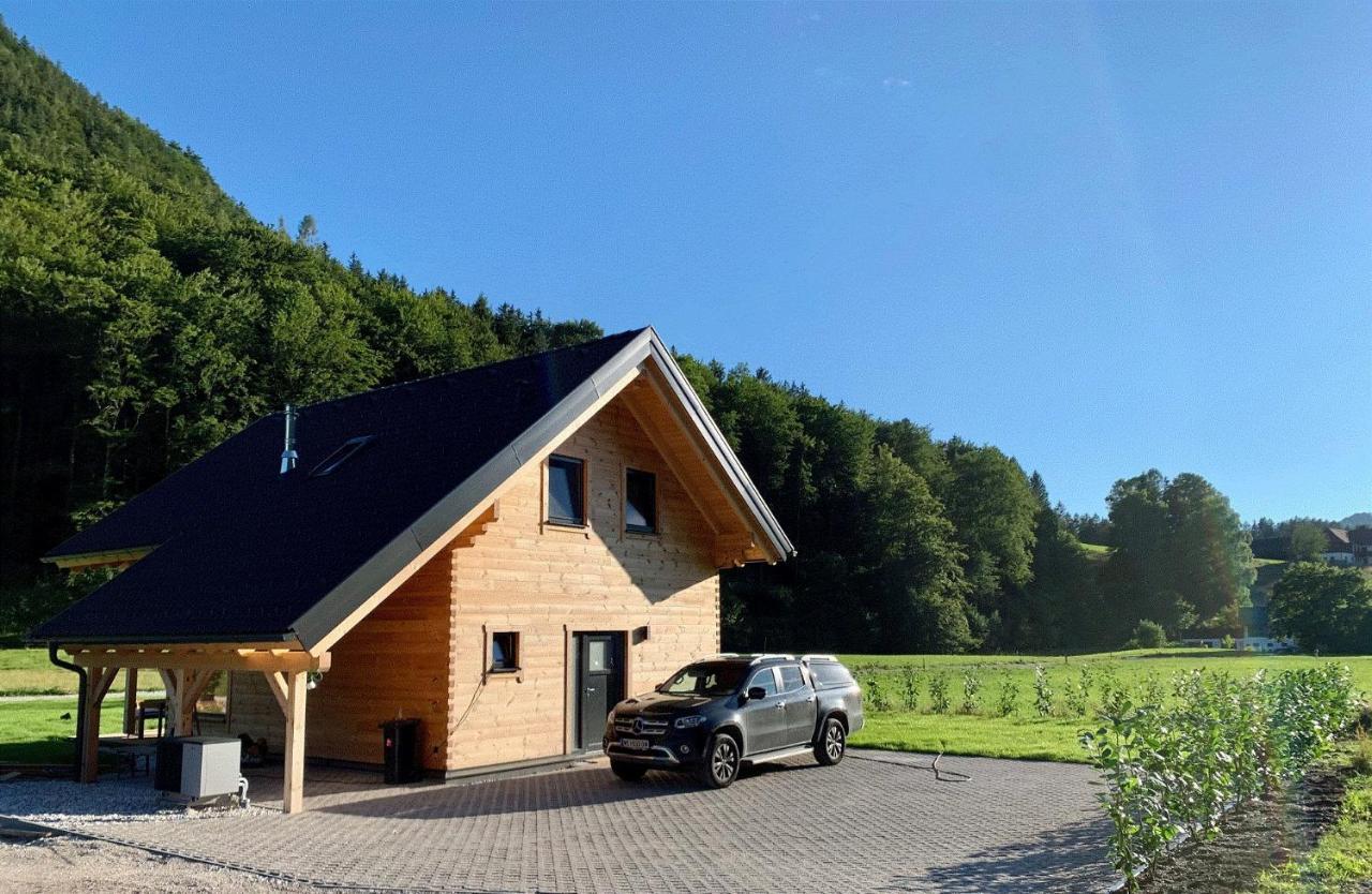 Das Gruenhaus - Dein Chalet In Grünau im Almtal 외부 사진